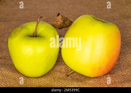 Zwei süße grüne Äpfel auf einem Jutetuch, Makro. Stockfoto