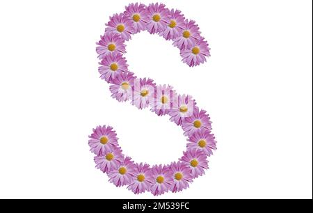 Buchstabe S mit pinkfarbener Blume auf weißem Hintergrund. Konzept des Frühlings. Stockfoto