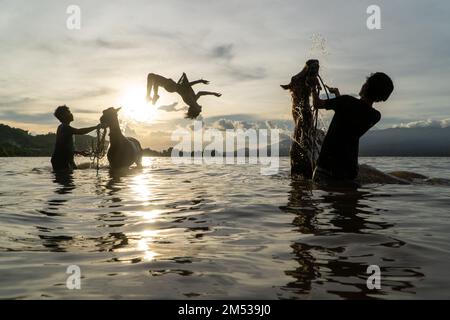 Bei Sonnenuntergang putzen drei Silhouetten von Menschen Rennpferde an einem Strand in Lariti Beach, Bima District, West Nusa Tenggara. Pferde im Meerwasser baden Stockfoto