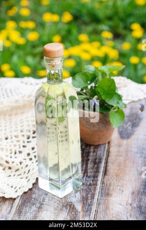 Ätherisches Öl der Viola odorata (Veilchen) in hoher Flasche. Frühlingsgarten mit blühenden Blumen im Hintergrund. Stockfoto