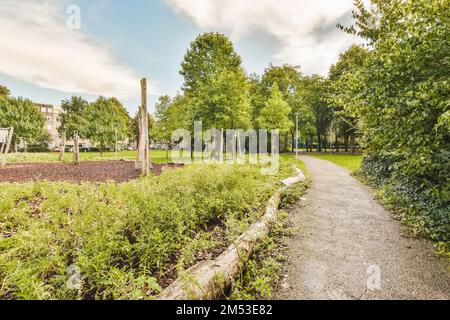 Ein leerer Pfad inmitten eines Parks mit Bäumen und Büschen auf beiden Seiten gibt es einen wolkigen blauen Himmel Stockfoto