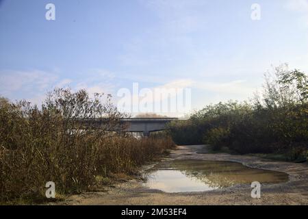 Unbefestigter Pfad mit Pfützen und einer Brücke im Hintergrund auf dem Land Stockfoto