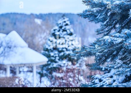 Ein schneebedeckter Waldpark im Winter mit einem hölzernen Pavillon vor dem Hintergrund von Nadelbäumen. Schneebedecktes Dach eines Pavillons im Wald am Himmel. Hochwertiges Foto Stockfoto