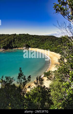 Der idyllische Te Puketea Beach auf Pitt Head, ein bewaldeter Umhang im Abel Tasman National Park, South Island, Neuseeland. Blaues Meer und Halbmondstrand. Stockfoto