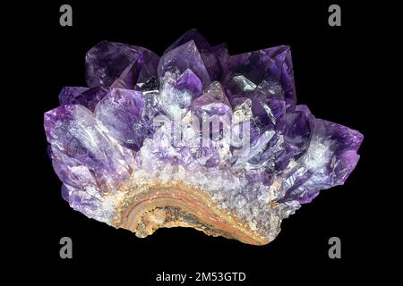 Amethyst, Teil eines Geodes, auf schwarzem Hintergrund. Eine Vielzahl von Quarz in natürlicher Dunkelviolett- und Violettfarbe. Ein halbwertvoller Stein. Stockfoto