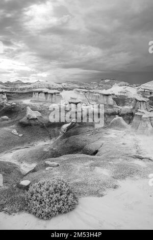 Foto der Bisti/De-Na-Zin Wilderness Area, einem wunderschönen Ort mit erodiertem Ton und Rock Hoo Doos, südlich von Farmington, New Mexico, USA. Stockfoto