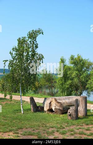 Holztisch und -Stuhl im Garten. Gartenmöbel aus Holzholz. Stockfoto