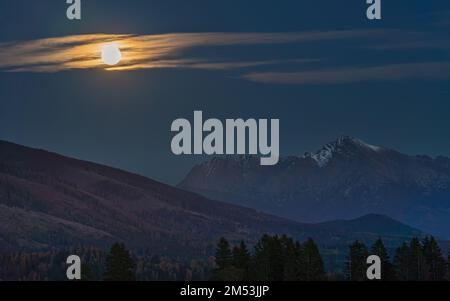 Vollmond über dem Gipfel des Krivan - slowakisches Symbol - Waldbaumsilhouetten im Vordergrund, Abendfoto Stockfoto