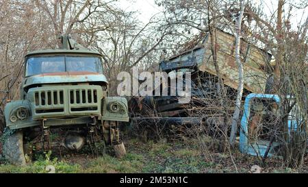 Verlassene rostende Lastwagen im Wald, eine Müllkippe mit gebrauchten Autos in einem Waldgebiet, Metallmüll in Form von kaputten sowjetischen Autos, die in der Wildnis abgeladen wurden Stockfoto