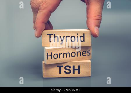 Schilddrüse, Hormone, tsh, Gesundheitskonzept, endokrine Drüsenstudie, Menschliches endokrines System, Energiebilanz, Stoffwechselregulation, Hyper- und Hypothyreose Stockfoto