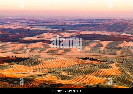 Ein wunderschöner farbenfroher Sonnenuntergang über einem Getreidefeld mit einer sanften Hügeloberfläche Stockfoto