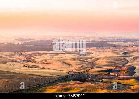 Ein wunderschöner farbenfroher Sonnenuntergang über einem Getreidefeld mit einer sanften Hügeloberfläche Stockfoto