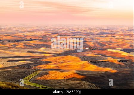Ein wunderschöner goldener Sonnenuntergang über einem geernteten Weizenfeld mit einer sanften Hügeloberfläche Stockfoto