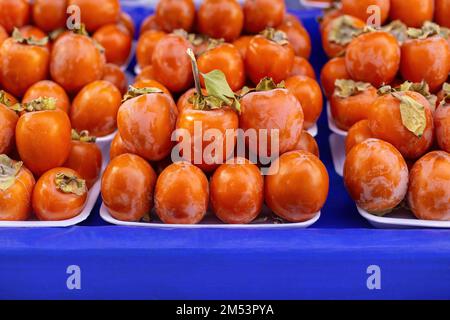 Diospyros kaki, die orientalische Persimone, Chinesische Persimone, Japanische Persimone oder Kakifroma, ist die am weitesten verbreitete Art der Gattung Di Stockfoto