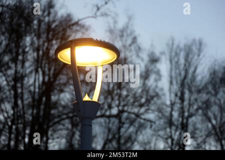 Leuchtende LED-Lampe auf dem Hintergrund von Bäumen im Abendpark. Elektrische Beleuchtung, energiesparende Straßenlaterne Stockfoto