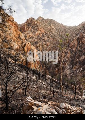 Wilde schroffe Gipfel über Standley Chasm auf Abschnitt 3 des Larapinta Trail, West MacDonnell (Tjoritja) National Park, Northern Territory, Australien Stockfoto