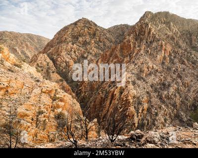 Wilde schroffe Gipfel über Standley Chasm auf Abschnitt 3 des Larapinta Trail, West MacDonnell (Tjoritja) National Park, Northern Territory, Australien Stockfoto