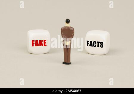 Geschäftskonzept. Eine menschliche Figur steht vor weißen Würfeln mit Inschriften - Fake oder Fakten Stockfoto