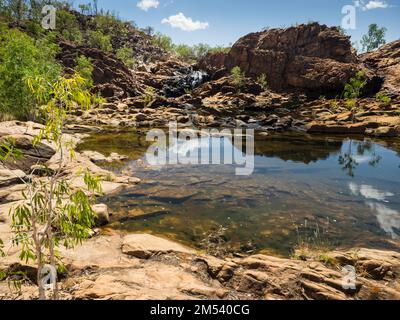 Upper Pool & Falls, Edith Falls (Leliyn), Nitmiluk National Park, Northern Territory, Australien Stockfoto