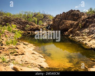 Upper Pool, Edith Falls (Leliyn), Nitmiluk National Park, Northern Territory, Australien Stockfoto