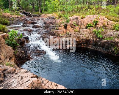 Buley Rockhole, Florence Creek, Litchfield National Park, Northern Territory, Australien Stockfoto