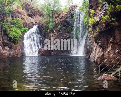 Tauchbecken am Fuße der Florence Falls (Karrimurra), Litchfield National Park, Northern Territory, Australien Stockfoto