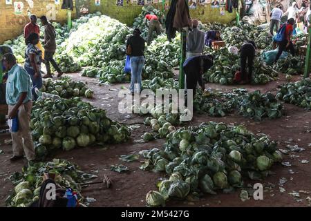 Nakuru, Kenia. 24. Dezember 2022. Die Leute kaufen Gemüse auf einem Großmarkt an Heiligabend in Nakuru. Trotz eines leichten Rückgangs der Inflationsrate im November bei 9,5% im Vergleich zu 9,6% im Vormonat sind die Lebensmittelkosten nach wie vor hoch. Da die neue Regierung nun fest an der Macht ist, sind die meisten Kenianer zuversichtlich, dass sich die harten wirtschaftlichen Bedingungen lockern werden. (Kreditbild: © James Wakibia/SOPA Bilder über ZUMA Press Wire) Stockfoto