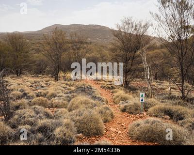 Farbcodierte Markierungen auf dem Chain of Ponds Walk, Trephina Gorge Nature Park, Northern Territory, Australien Stockfoto