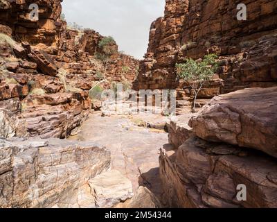 Trockenes Flussbett auf dem Chain of Ponds Walk, Trephina Gorge Nature Park, Northern Territory, Australien Stockfoto