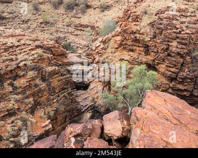 Mit Blick auf das trockene Flussbett auf dem Chain of Ponds Walk, Trephina Gorge Nature Park, Northern Territory, Australien Stockfoto