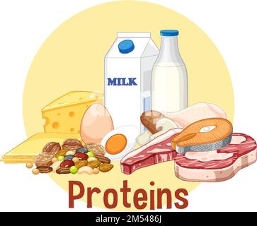 Variety of protein foods illustration Stock Vektor