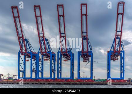 Kräne im Hamburger Hafen entladen Stockfoto