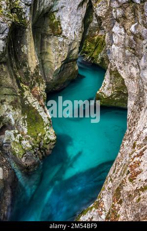 Der Bergfluss Soca fließt durch den engen Canyon, das Soca-Tal, den Triglav-Nationalpark, Bovec, Slowenien Stockfoto