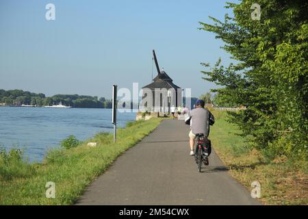 Historischer Weinladekran, erbaut 1745 und Wahrzeichen am Rheinufer mit Radweg und Radfahrer von hinten, Jogger, Rhein, Gebäude Stockfoto