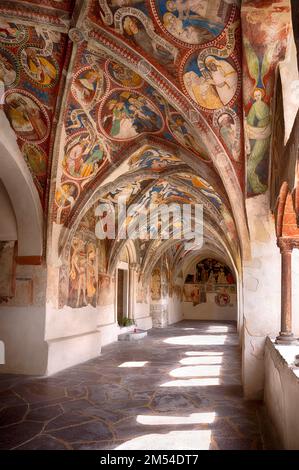 Fresken im Kloster, Kathedrale der Himmelfahrt Maria und St. Cassian, Bressanone Cathedral, Bressanone, Südtirol, Trentino, Italien Stockfoto