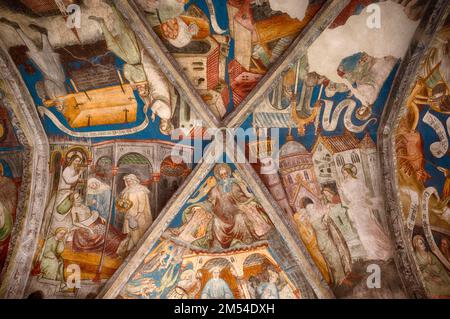 Fresken im Kloster, Kathedrale der Himmelfahrt Maria und St. Cassian, Bressanone Cathedral, Bressanone, Südtirol, Trentino, Italien, Europa Stockfoto