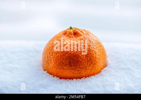 Süße Mandarinen-Zitrusfrüchte auf dem weißen, flauschigen Schnee am sonnigen Wintertag Stockfoto