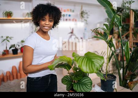 Porträt einer lockigen jungen afroamerikanischen Frau, die zu Hause mit weichem Tuch vorsichtig Staub von den Blättern grüner Pflanzen abwischte. Stockfoto