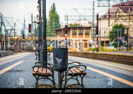 Eine Drecksau sitzt am Rand eines Mülleimers. Bahnhof und Eisenbahnen in Gdynia, Polen Stockfoto