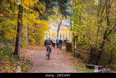 Menschen, die am Monticolo-See (Montiggler-See) in Südtirol, Appiano, Bozen, Trentino Alto Adige, Norditalien, Europa Stockfoto