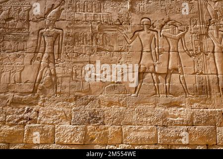 Hieroglypisch bemalte Schnitzereien an der Wand des alten ägyptischen Tempels in Luxor. Ägypten. Stockfoto