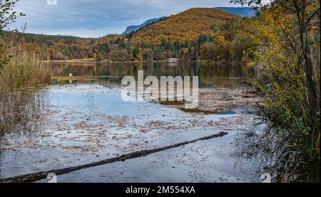 Monticolo-See in der Herbstsaison - Appiano, Provinz Bozen, Trentino Südtirol, Italien, Europa - Stockfoto