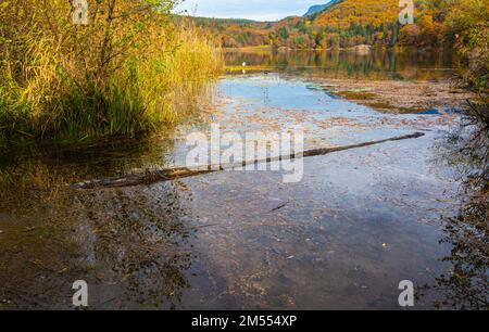 Monticolo-See in der Herbstsaison - Appiano, Provinz Bozen, Trentino Südtirol, Italien, Europa - Stockfoto