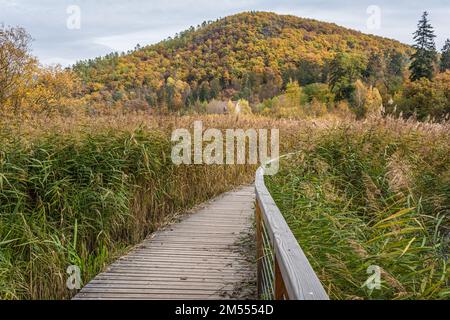 Monticolo-Wald-Naturschutzgebiet im Herbst - Monticolo-See - Appiano in Südtirol, Provinz Bozen, Trentino Südtirol, Italien, Europa - Stockfoto