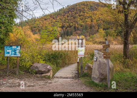 Monticolo-Wald-Naturschutzgebiet im Herbst - Monticolo-See - Appiano, Provinz Bozen, Trentino Alto Adige, Südtirol, Italien Stockfoto