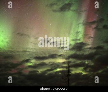 Aurora borealis in Rot und Grün mit Wolken und Baumsilhouette. Stockfoto