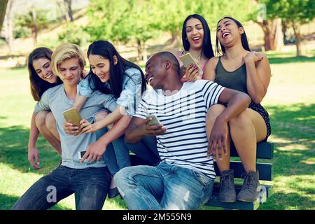 Enge und glückliche Freundschaften pflegen. Eine Gruppe junger Freunde, die ihre Telefone im Freien gemeinsam nutzen. Stockfoto