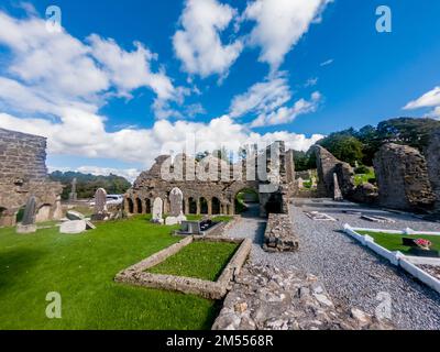 Der historische Abbey Graveyard in Donegal, der 1474 von Hugh O Donnell in der Grafschaft Donegal in Irland erbaut wurde. Stockfoto