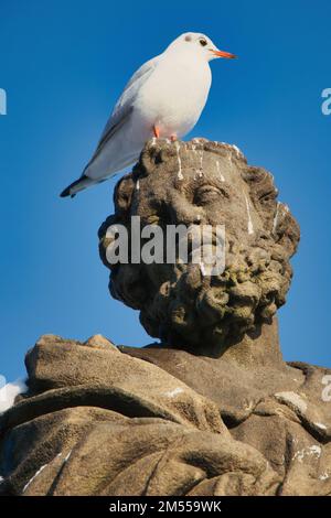 Statue von St. Jude Thaddeus auf der Karlsbrücke, Prag. Tschechische Republik. Stockfoto