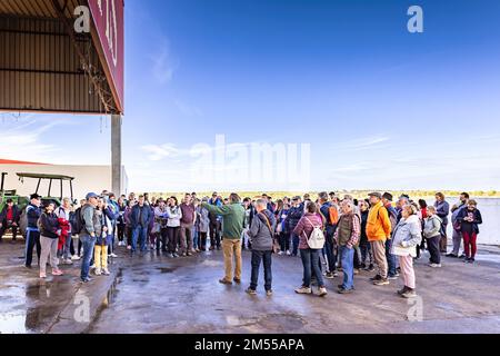 Huelva, Spanien - 4. Dezember 2022: Eine Gruppe von Personen, die eine moderne Olivenölmühle besuchen Olivenölfabrik Olibeas extra im Dorf B. Stockfoto